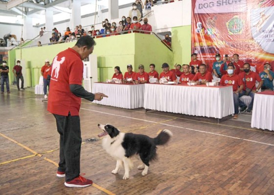 Nusabali.com - gianyar-dog-show-2022-diikuti-103-anjing-berbagai-ras