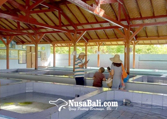 Nusabali.com - objek-wisata-pendidikan-juga-kecipratan-pengunjung