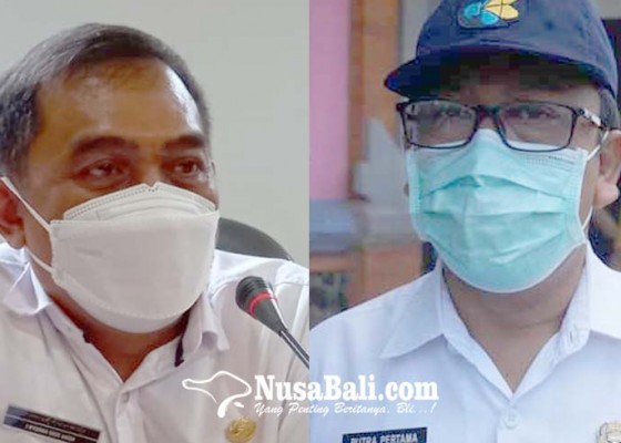 Nusabali.com - sepanjang-2022-10-orang-meninggal-akibat-dbd-di-bali