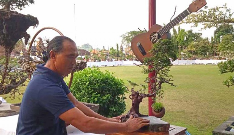 www.nusabali.com-curi-perhatian-pengunjung-kontes-bonsai-gianyar