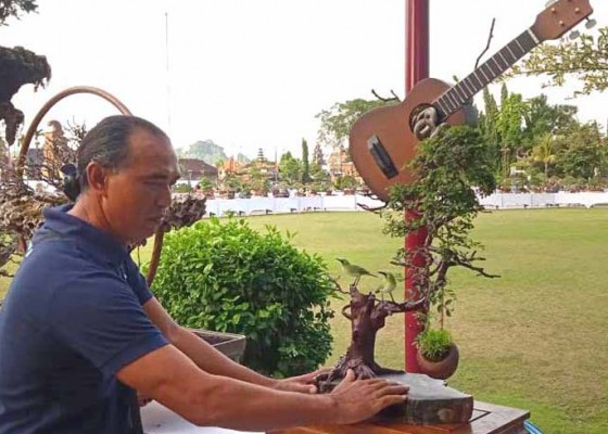 Nusabali.com - curi-perhatian-pengunjung-kontes-bonsai-gianyar