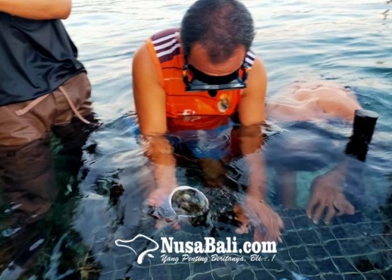 Nusabali.com - masyarakat-enggan-budidayakan-abalon
