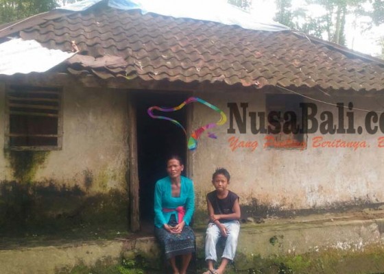 Nusabali.com - anak-gantung-diri-suami-meninggal-dan-mondok