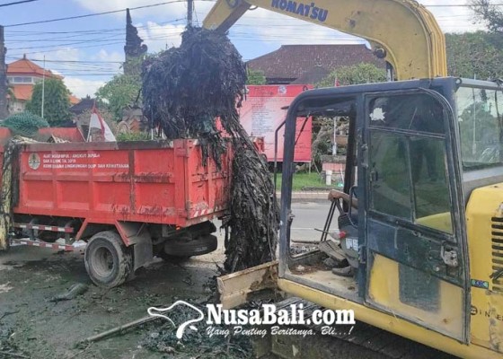 Nusabali.com - bersihkan-sampah-petugas-masuk-gorong-gorong