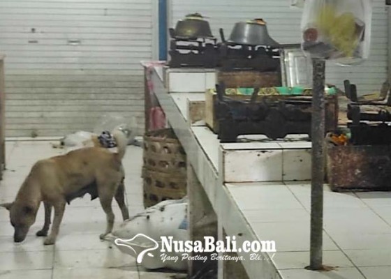 Nusabali.com - anjing-liar-resahkan-pedagang-di-pasar-kidul