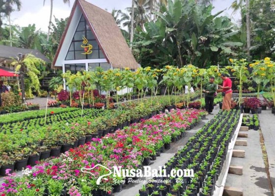 Nusabali.com - cafe-kebun-jadi-alternatif-objek-wisata-di-bangli