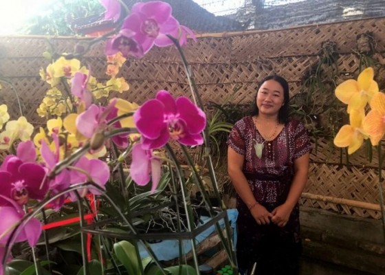 Nusabali.com - anggrek-raeka-orchid-laris-manis-di-pkb-2022
