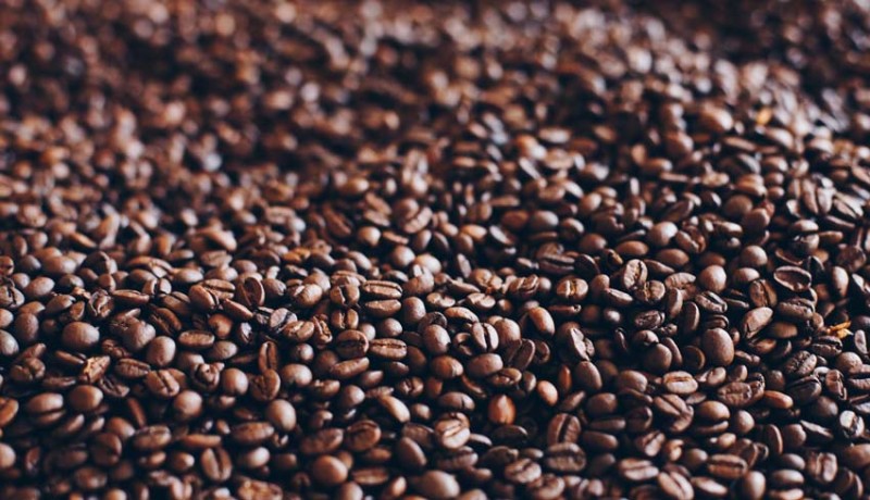 www.nusabali.com-produksi-kopi-robusta-tabanan-meningkat