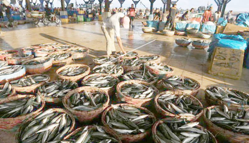 www.nusabali.com-tangkap-ikan-berbasis-kuota-sejahterakan-nelayan