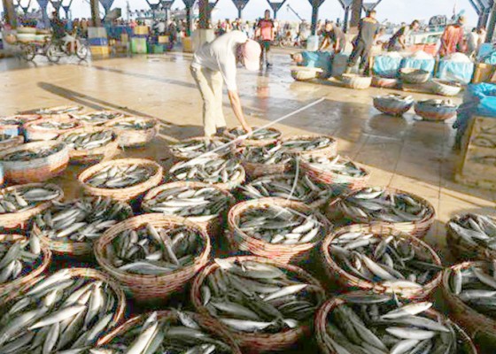 Nusabali.com - tangkap-ikan-berbasis-kuota-sejahterakan-nelayan