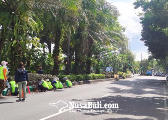 Nusabali.com - jelang-hut-kota-negara-median-jalan-dicat-ulang