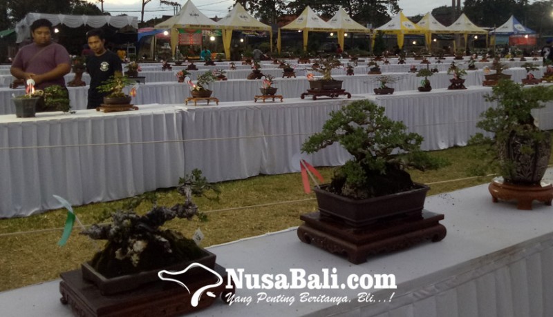 www.nusabali.com-festival-teruna-teruni-sanur-kaja-gandeng-penggemar-bonsai-dan-vespa-se-bali