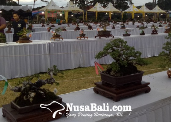 Nusabali.com - festival-teruna-teruni-sanur-kaja-gandeng-penggemar-bonsai-dan-vespa-se-bali
