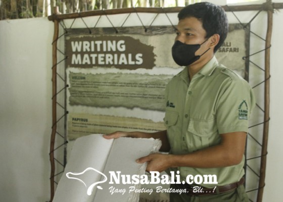 Nusabali.com - turis-di-bali-takjub-kotoran-gajah-diolah-jadi-kertas