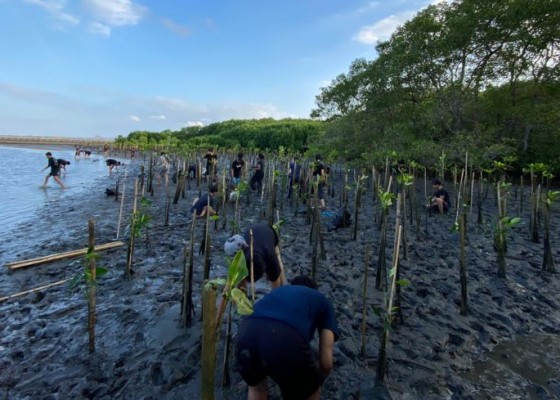 Nusabali.com - sambut-hut-ke-59-st-yowana-pratyaksa-tanam-mangrove