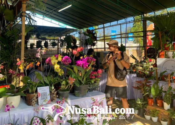 Nusabali.com - ada-komunitas-pecinta-tanaman-hias-pop-plant-market-bali-di-pica-fest-2022