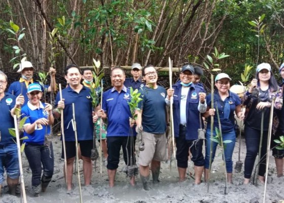 Nusabali.com - sambut-hut-ke-77-ri-dpw-partai-nasdem-bali-tanam-3000-mangrove