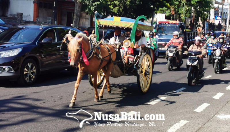 www.nusabali.com-asyiknya-city-tour-di-kota-denpasar-naik-dokar