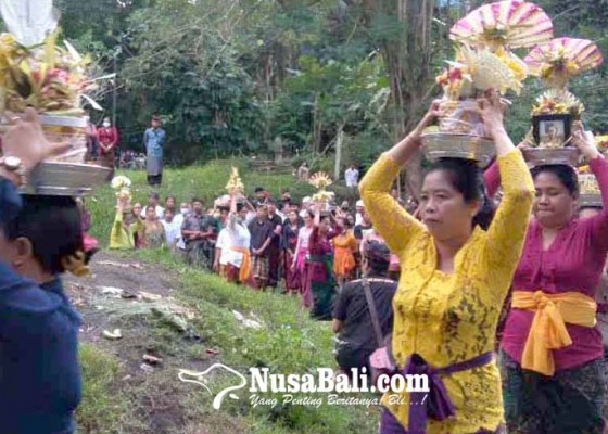 Nusabali.com - ngaben-massal-di-desa-adat-selumbung-upacarai-21-sawa