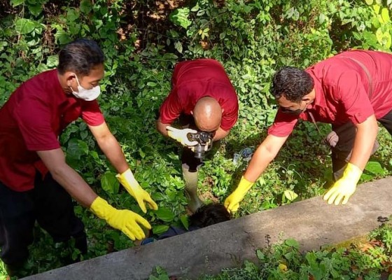 Nusabali.com - jenazah-pegawai-bank-ditemukan-di-got-pinggir-hutan