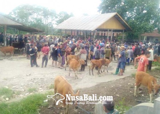 Nusabali.com - pasar-hewan-tutup-puluhan-juta-hilang