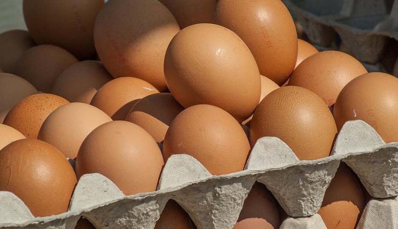 www.nusabali.com-pasar-murah-jadi-solusi-pemprov-bali-saat-harga-telur-naik