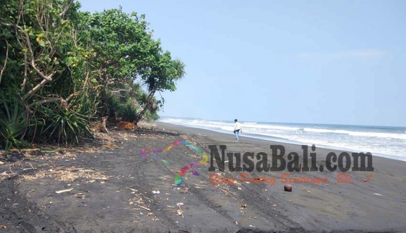 www.nusabali.com-pantai-yehembang-jadi-arena-balapan-liar