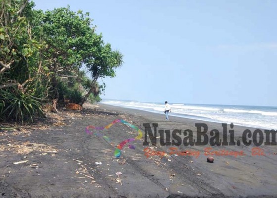 Nusabali.com - pantai-yehembang-jadi-arena-balapan-liar