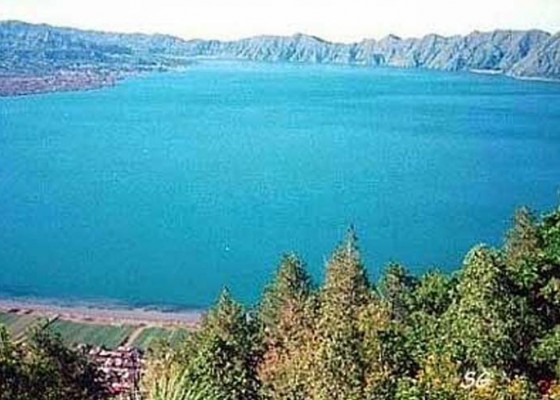 Nusabali.com - genangan-air-danau-batur-tebarkan-bau-busuk