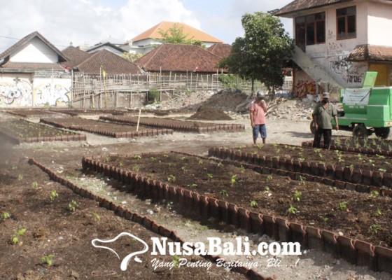 Nusabali.com - keren-tps-eks-pasar-loak-gunung-agung-sekarang-jadi-kebun-di-tengah-kota