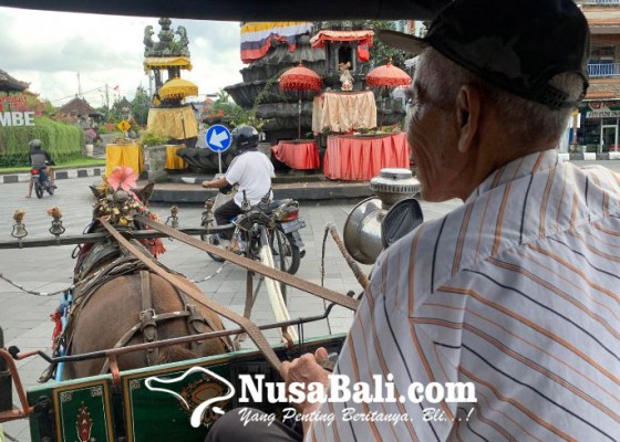 Nusabali.com - menolak-punah-dokar-di-klungkung-jadi-sarana-transportasi-sekaligus-nostalgia
