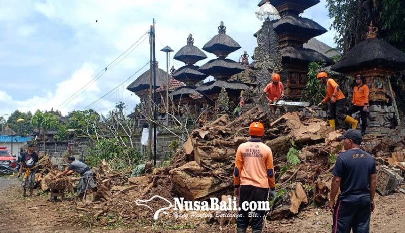 www.nusabali.com-gedong-betel-tinggal-rusak-tertimpa-pohon-tua