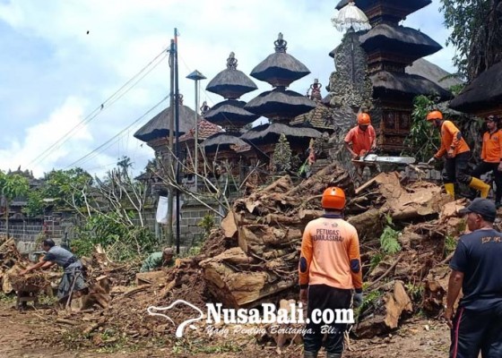Nusabali.com - gedong-betel-tinggal-rusak-tertimpa-pohon-tua