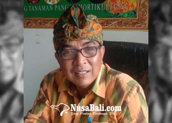 Nusabali.com - harga-cabai-paling-pedas-berlangsung-pada-juni-2022
