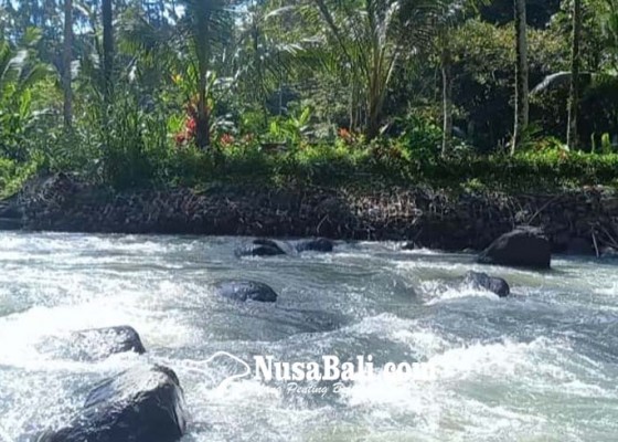 Nusabali.com - dilema-pariwisata-bali-korbankan-pertanian