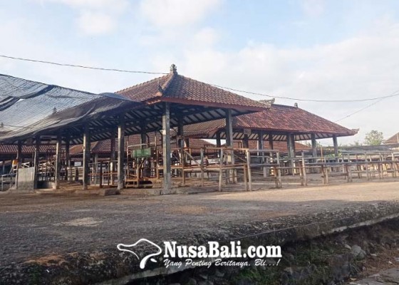 Nusabali.com - satgas-pmk-izinkan-pasar-hewan-dibuka