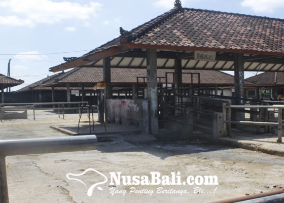 Nusabali.com - pembukaan-pasar-hewan-di-badung-tunggu-keputusan-satgas-kabupaten