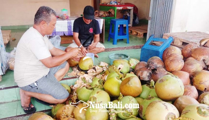 www.nusabali.com-bisnis-buah-kelapa-muda