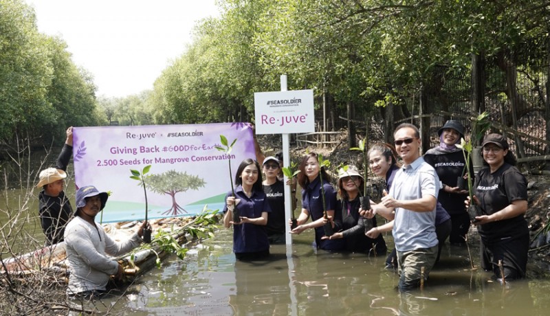 www.nusabali.com-melanjutkan-aksi-peduli-terhadap-lingkungan-rejuve-tanam-2500-bibit-mangrove-bersama-seasoldier