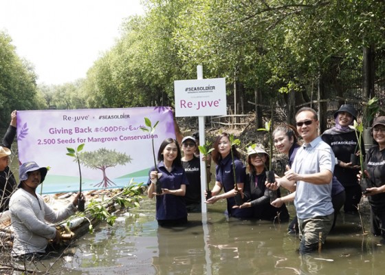 Nusabali.com - melanjutkan-aksi-peduli-terhadap-lingkungan-rejuve-tanam-2500-bibit-mangrove-bersama-seasoldier