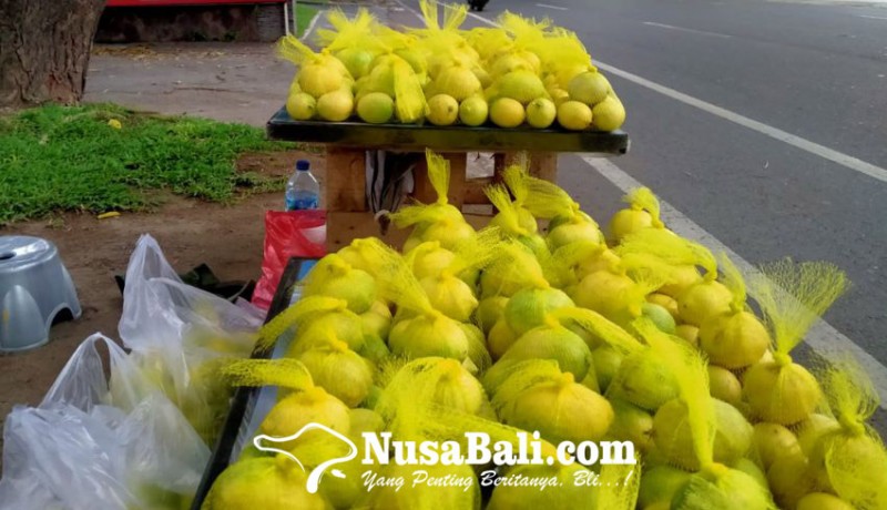 www.nusabali.com-pedagang-lemon-lokal-mengais-rezeki-dari-buah-pemilik-beragam-manfaat