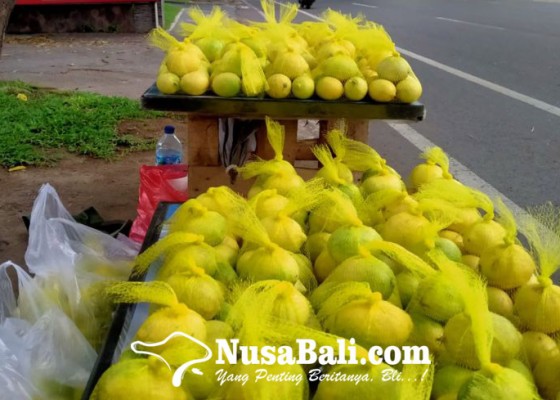Nusabali.com - pedagang-lemon-lokal-mengais-rezeki-dari-buah-pemilik-beragam-manfaat
