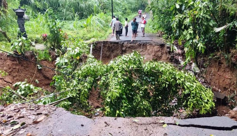 www.nusabali.com-hujan-lebat-picu-bencana-alam-di-bangli-14-titik-jalan-rusak-telan-rp-65-miliar-lebih