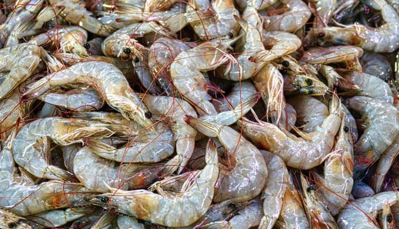 www.nusabali.com-bbm-naik-kuliner-seafood-terimbas