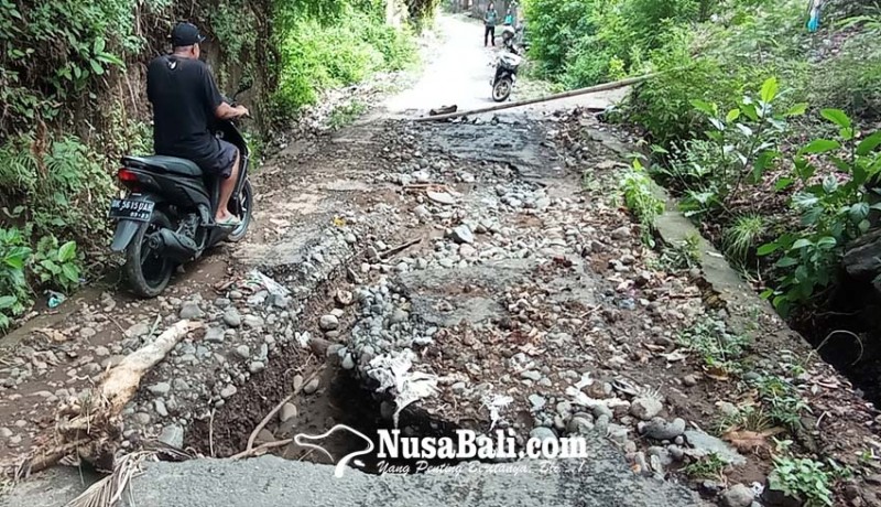 www.nusabali.com-ratusan-rumah-terdampak-banjir-akses-jalan-di-desa-kalianget-juga-terputus