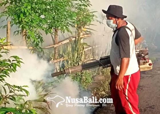 Nusabali.com - lonjakan-populasi-nyamuk
