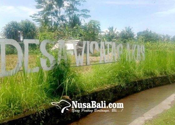 Nusabali.com - desa-wisata-bakas-berspirit-bala-akas