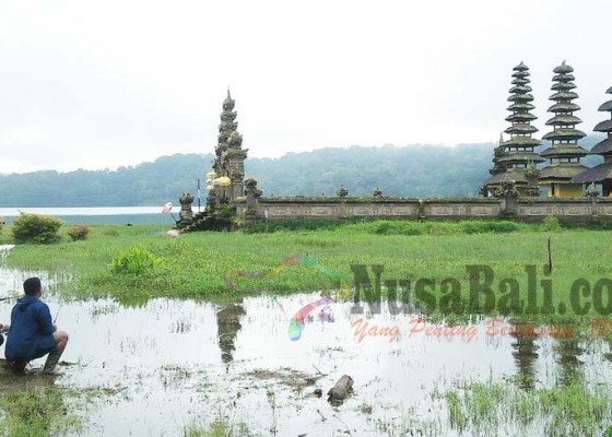 Nusabali.com - pura-gubug-terendam-air-pasang-danau-tamblingan