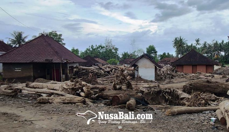 www.nusabali.com-sebulan-pasca-banjir-bandang-kayu-masih-menumpuk-di-rumah-warga