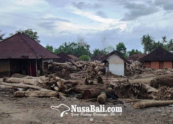 Nusabali.com - sebulan-pasca-banjir-bandang-kayu-masih-menumpuk-di-rumah-warga